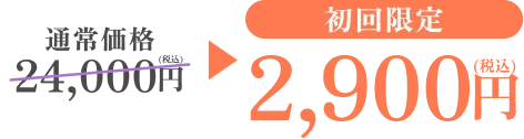 通常価格24,000円(税込)が初回限定2,900円(税込)に！